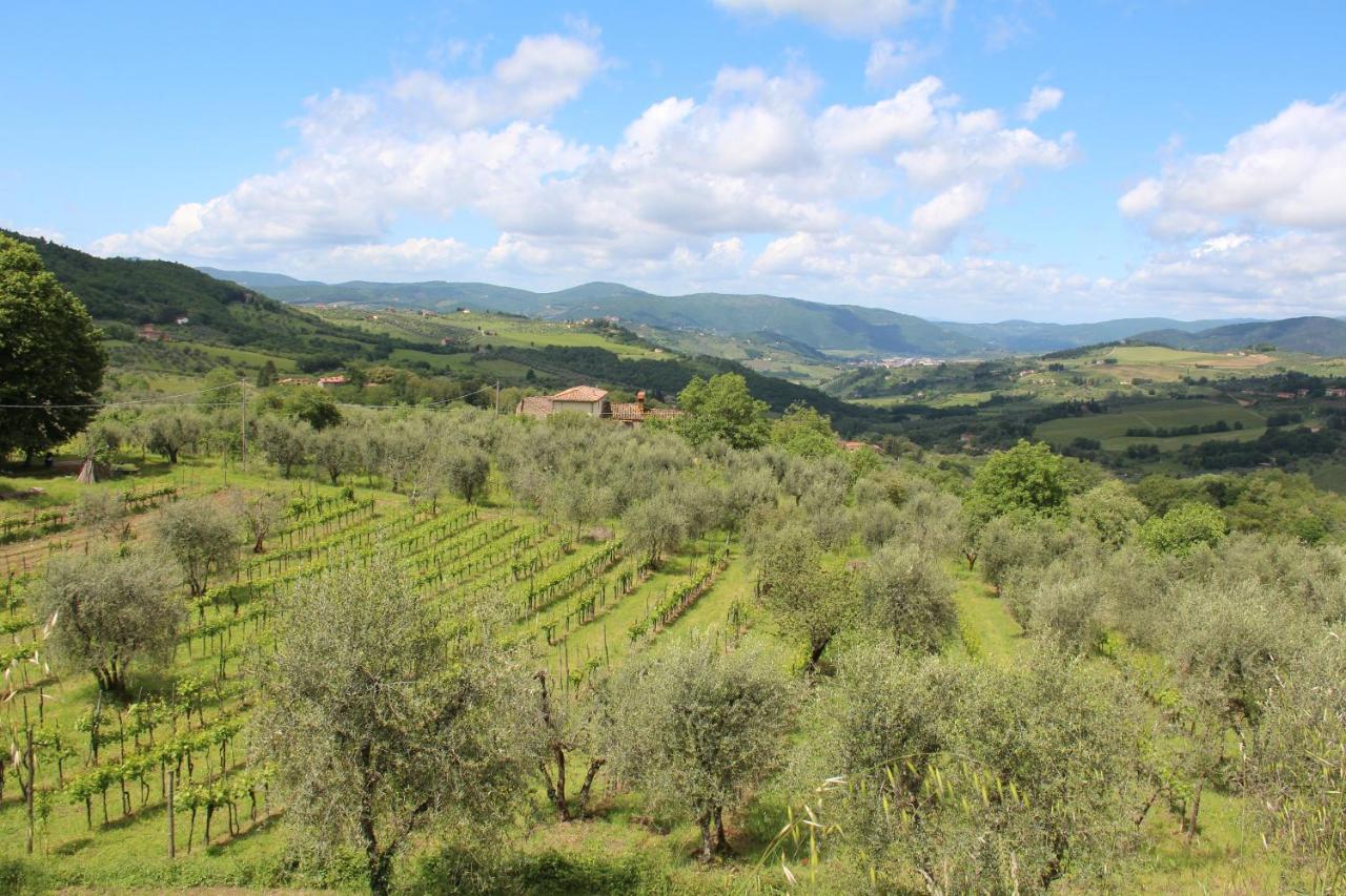 Pelago Fattoria Di Caticciano, Elegante Affittacamere Relax E Natura Vicino Firenze المظهر الخارجي الصورة